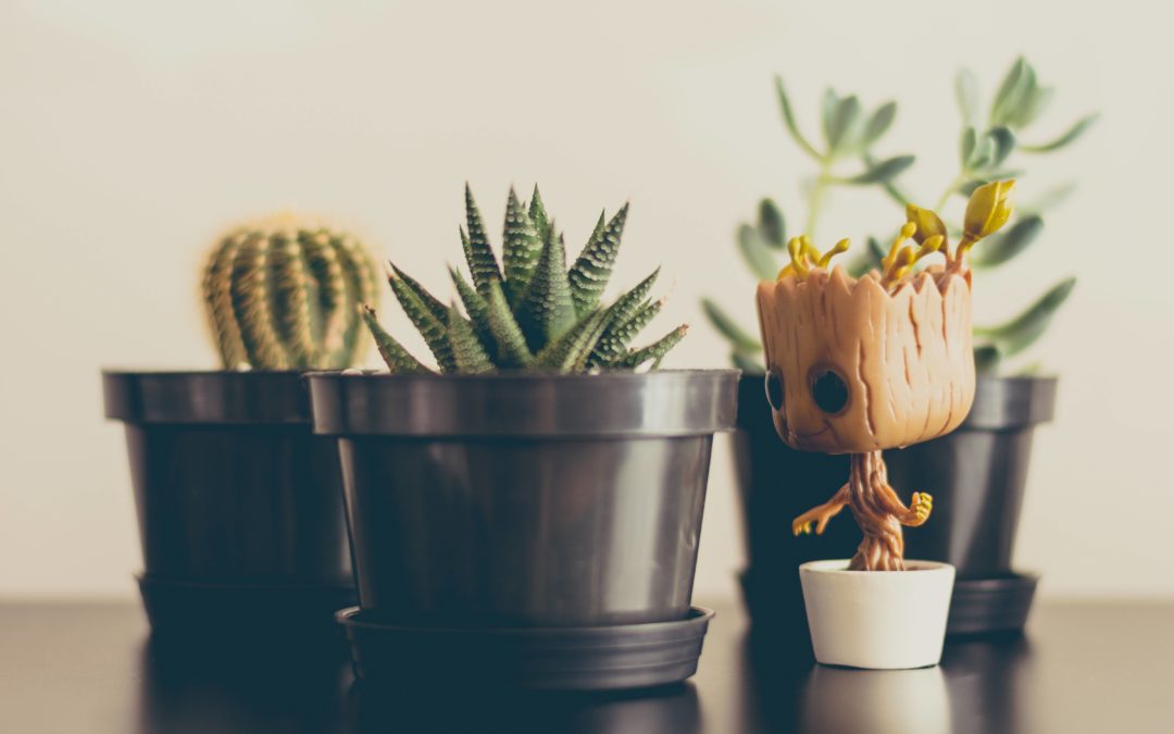 Image of Baby Groot in a pot beside other plants