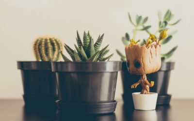 Image of Baby Groot in a pot beside other plants