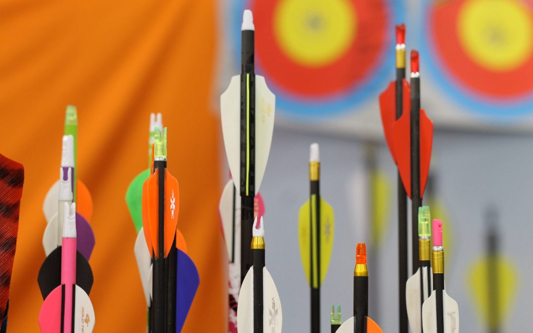 Photo of the fletching of many colourful arrows