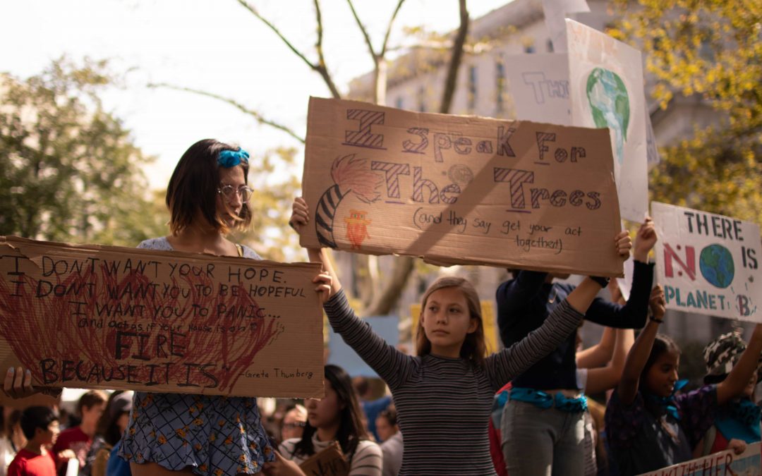 Children holding protest signs for climate justice